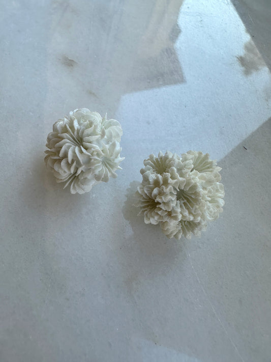 Vintage clips med blommor